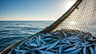 India's Fish Production: A Decade of Growth