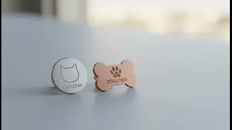 Microchips and licences reduce repeated or missing records: why Pet Registration Beyond Dogs matters