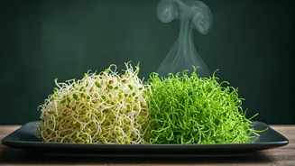 This Simple Sprouts Swap Could Keep You Safer