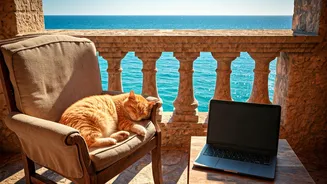 Live Rent-Free in Syros, Greece: A Unique Opportunity for Remote Workers & Cat Lovers!