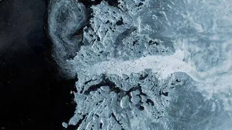 Study: Greenland and Antarctica lost 11.3 trillion tons of ice