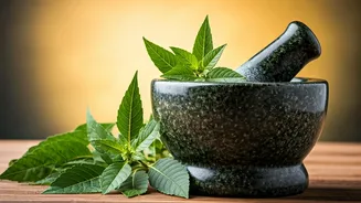 Ayurvedic Secrets: Natural Allergy Relief for Seasonal Changes