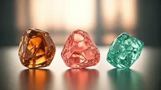 Retinol vs. Retinal vs. Bakuchiol: Your Ultimate Guide to Beating Wrinkles