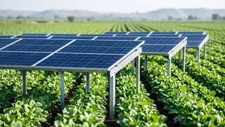Agrivoltaics: Solar and farming win-win