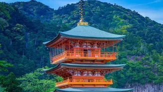 Japan Travel Costs Now Need One More Check before Booking
