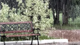 Cyclone Arnab Tracker: Rainfall Intensity Estimates For Eastern Coastal Belt States
