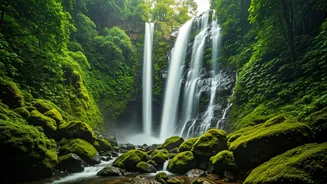 Western Ghats Waterfall Hikes Are Ultimate Weekend Move Right