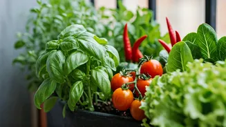Kitchen Crops Make Balconies Feel More Useful