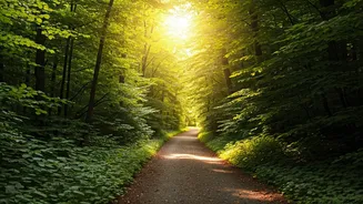 4 Daily Practices to Boost Mental Wellness