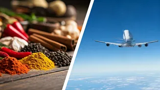 Indian Travellers Want More Flavour, Less Flight Time