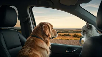 Fur Babies Are Driving Family Vacation Decisions