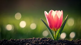 Embrace April's Spirit: Strong & Simple Names for Your Spring Baby