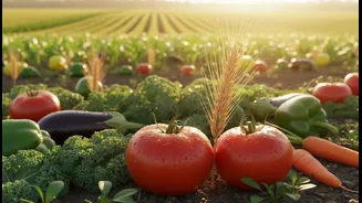 Local production can influence availability and affordability: why Crop Diversity And Hidden Hunger matters