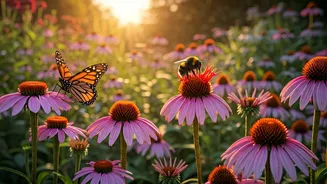 Pollinator Gardens Make A Difference