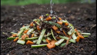 Small Food Scraps Break Down More Evenly in Wet Weather