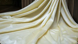 Samantha's Saree: A Tribute to Telugu Grace & Tradition