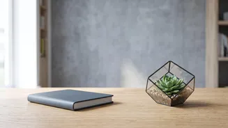 Debt Repayment And SIPs Can Coexist: How To Split Your Monthly Surplus