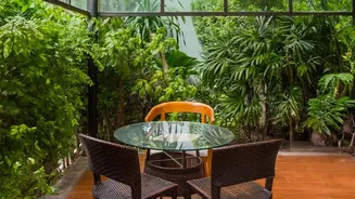 How To Enjoy Wayanad's Misty Rainforest Lodges Safely During Monsoon Trips