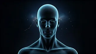 Related Stories banner