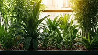 Balcony Gardens Need Airflow, Not Plant Clutter