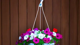 Check Rail Planters and Hanging Baskets for Secure Fixings