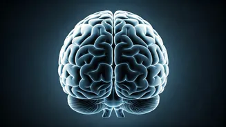 Improve Memory With a Quick Mental Exercise