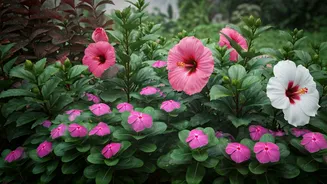 Monsoon Gardens Practically Grow Themselves With These Plants