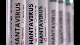 Exposures, Confirmed Cases And Deaths: What Numbers Reveal About Hantavirus Outbreak On Cruise Ship