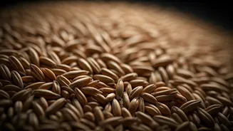 Oats: A Closer Look at the Hidden Downsides Beyond the 'Superfood' Hype