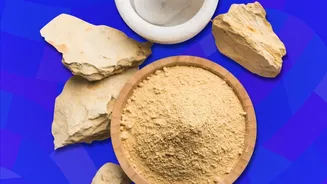 Ashwagandha vs Brahmi Solutions: How Adaptogens Help Young Professionals Manage Job Stress