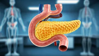 Unveiling Pancreas Health: 5 Warning Signs & Prevention