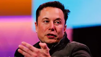 Why has Musk's 'Macrohard' AI project stalled?