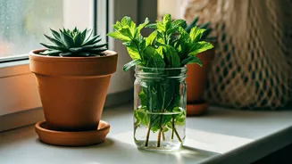 Sustainability Doesn't Have To Be Hard