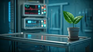 The Paradox of Intensive Care: Finding Simplicity in Complexity for True Happiness