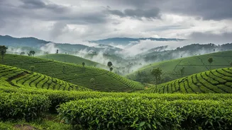 India's Monsoon Weather Makes Flexible Hotel And Transport Bookings Worth Considering