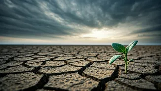 Food Inflation Can Start With Weak Rain
