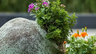 Native Plants Are Turning Small Gardens Into Green Havens