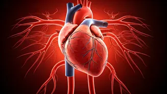 Daily Habits Build a Stronger, Healthier Heart