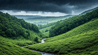 Scenic Monsoon Destinations That Stay Traveller-Friendly