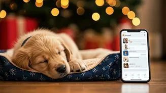 Fur Babies Are Running The Holiday Group Chat
