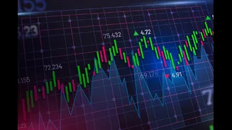 1% Of Global Stocks Account For 95% Market Gains In 2026, But India Has None