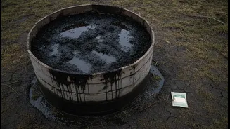 A Compost Activator Cannot Fix a Waterlogged Bin Alone
