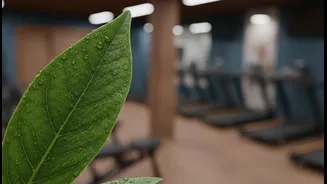 How Sweat Evaporation Failures In Dense Humid Indoor Gyms Elevate Core Body Temperatures Safely