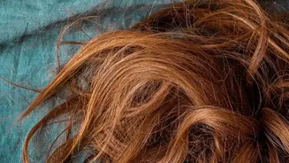 Hair Growth Depends On Follicles, Health And Genetics Beyond Topical Oils