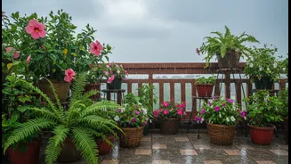 Monsoon Terrace Makeovers Begin With Plants That Thrive In Wet Conditions