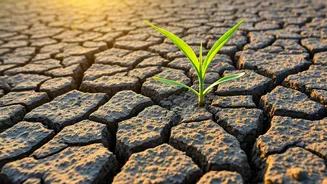 India's Food Security: A Nutrition Gap