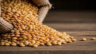 US Senator Champions Pulse Crop Interests in India Trade Talks