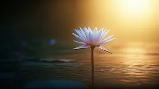 Laxmi Chaudhari: Embracing Self-Love After a Journey of Transformation