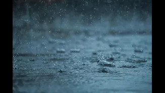 Heavy rain and thunderstorms forecast for Odisha till September 24
