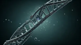 Bryan Johnson's 9-Year Skin Age Reversal: Unveiling the Biohacker's Secrets